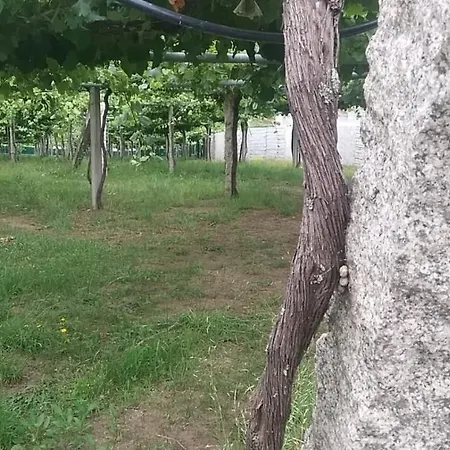 Casita Con Encanto Entre Vinedos Cambados