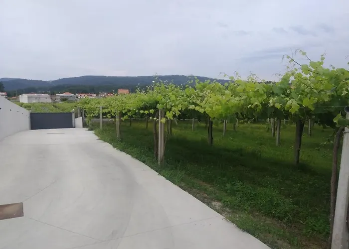 Casa de Férias Casita Con Encanto Entre Vinedos *